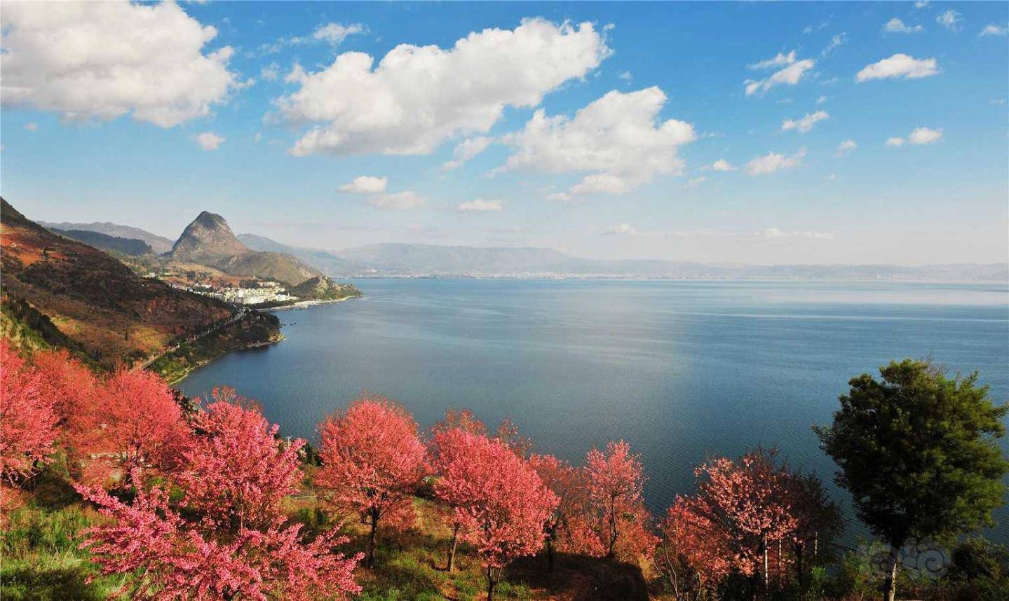 每日一景云南玉溪澄江抚仙湖