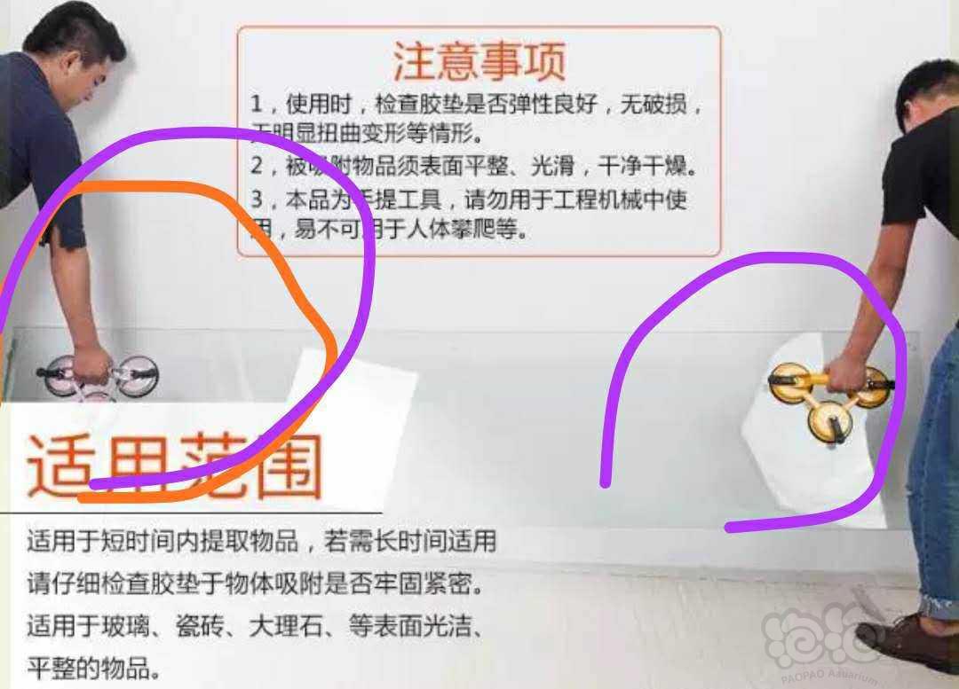 上海免费送超白鱼缸-图1