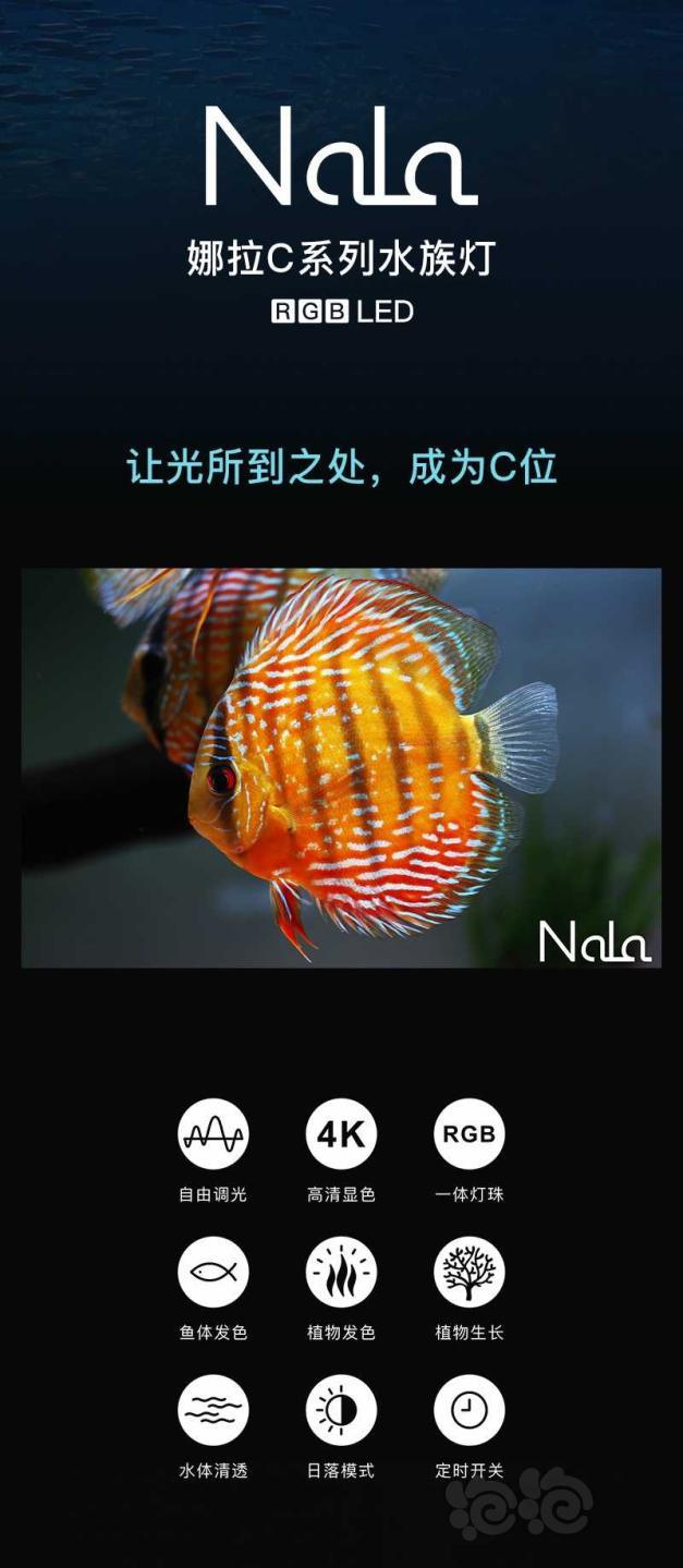 【产品】NalaC系列-图1