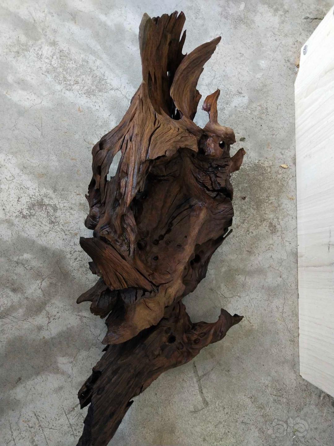 【用品】2020－10－11#RMB拍卖沉木一块45厘米左右-图2