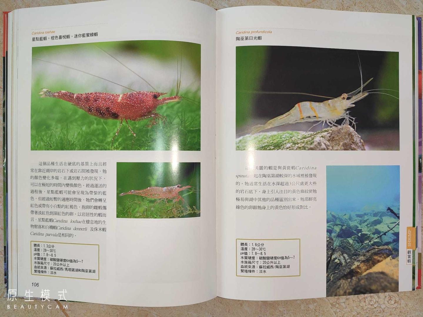 涵盖各种观赏虾、螯虾、观赏蟹、螺贝的《观赏无脊椎动物》-图7
