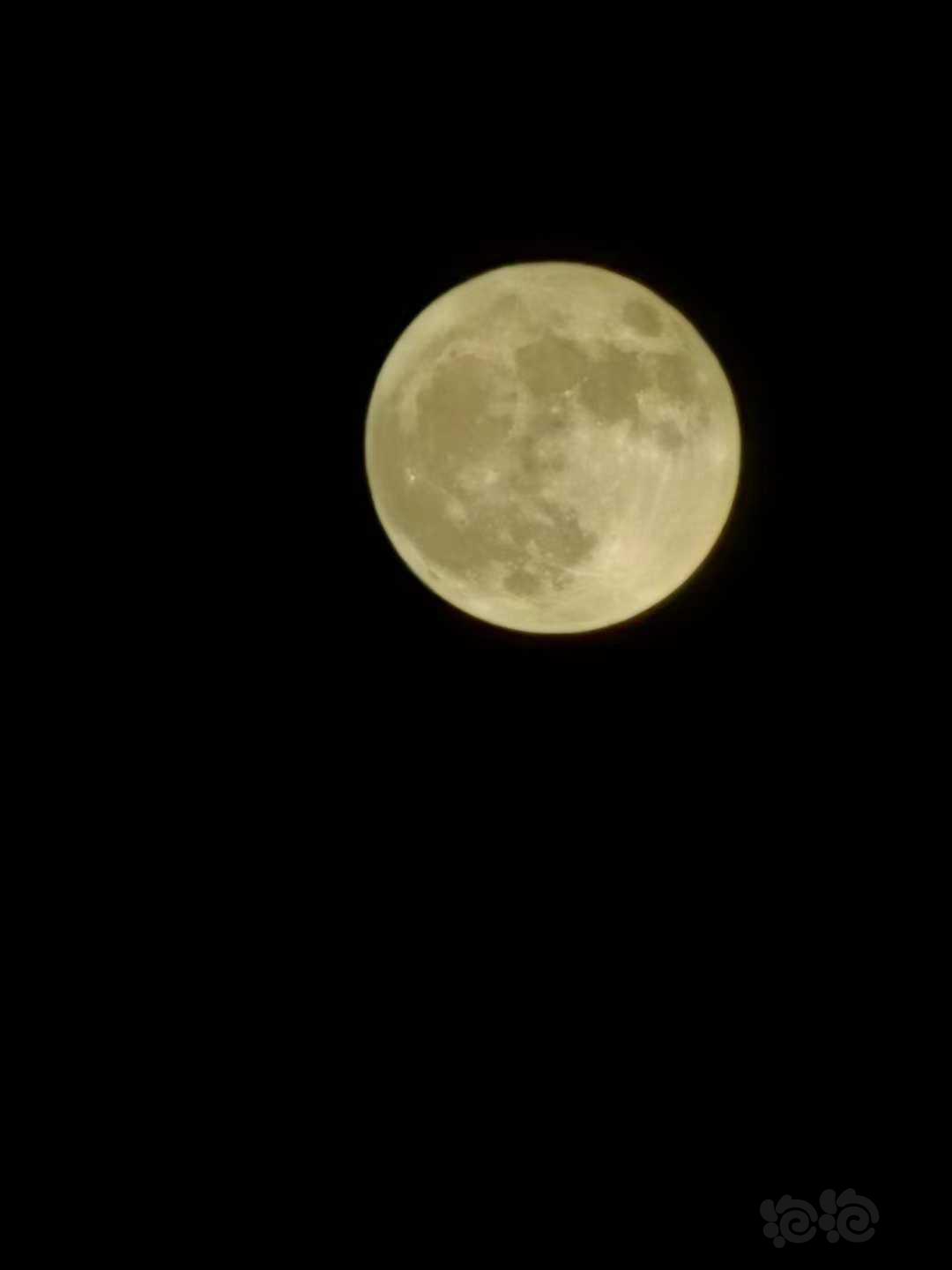 拍个月亮🌙哈哈库存-图1