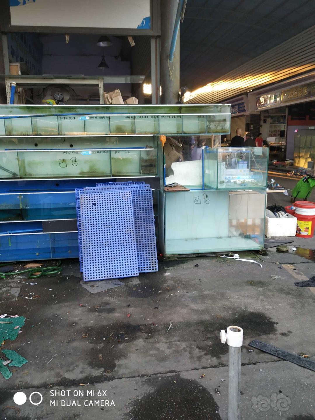 今天是全亚洲最大的花鸟鱼虫市场花地湾最后一天-图11