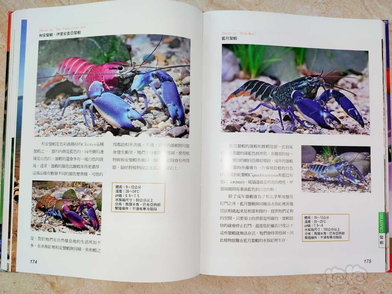 涵盖各种观赏虾、螯虾、观赏蟹、螺贝的《观赏无脊椎动物》-图2