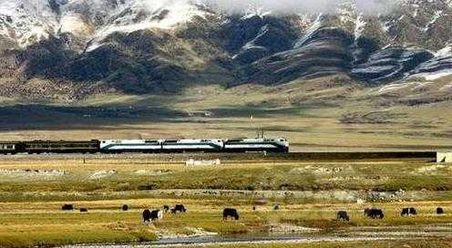 每日一景|青藏铁路-图3