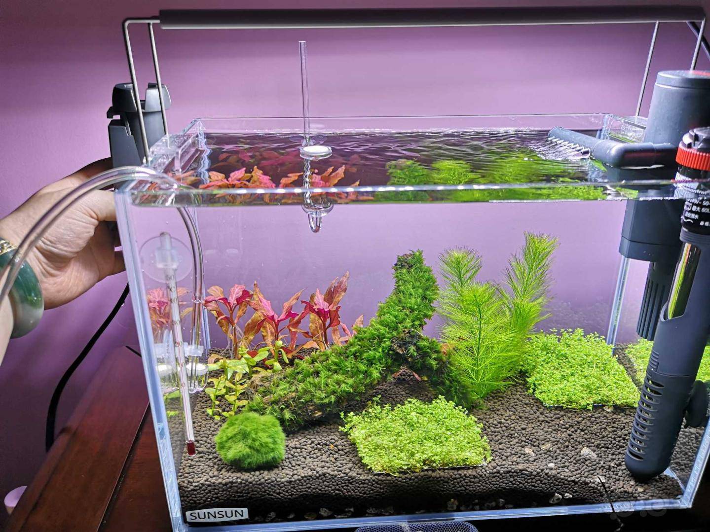 右边是过滤桶进出水口,左边是二氧化碳还有油膜器,当中那个细化器我在