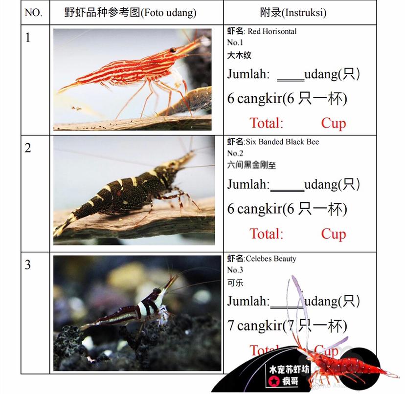 苏虾野虾能进口的品种-图1