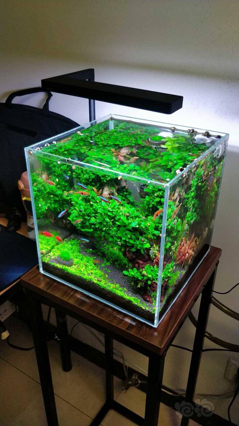 日常曝光空气缸