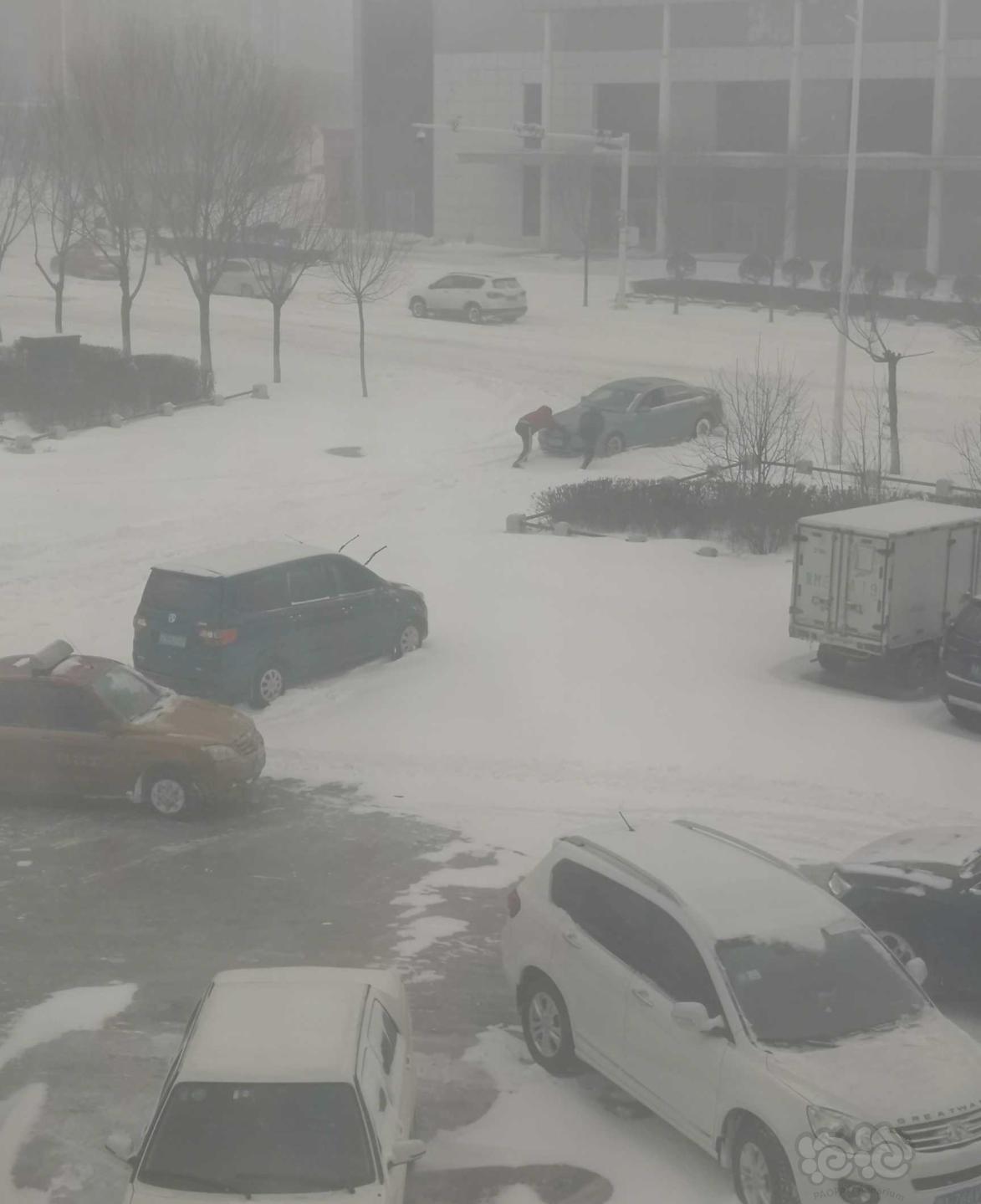 哈尔滨的雪好大🤒-图2