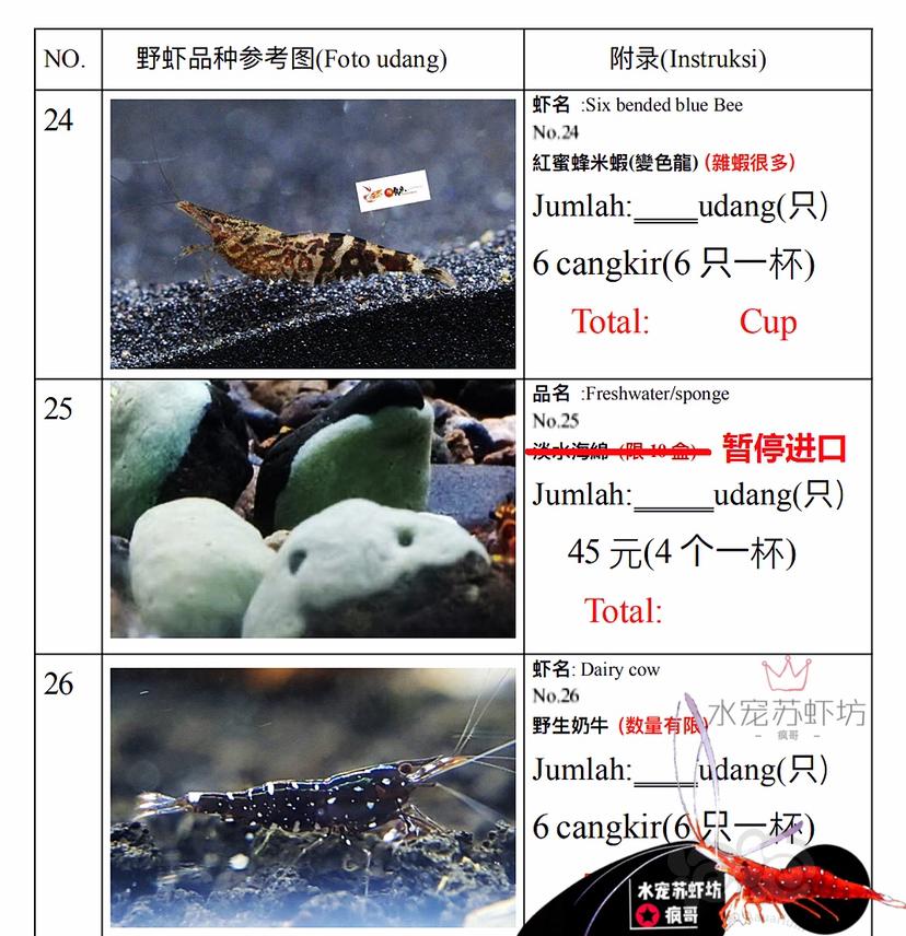 苏虾野虾能进口的品种-图7