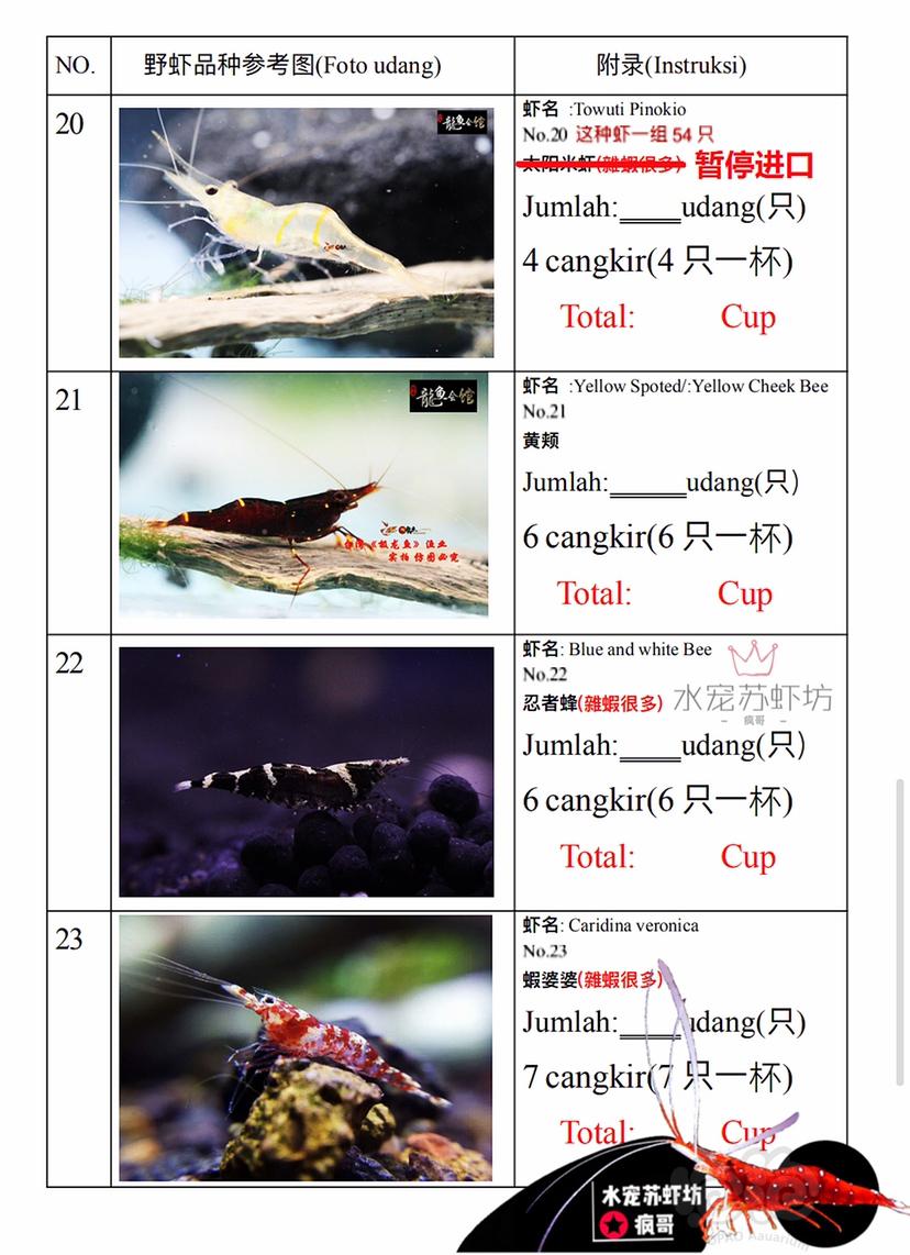 苏虾野虾能进口的品种-图6