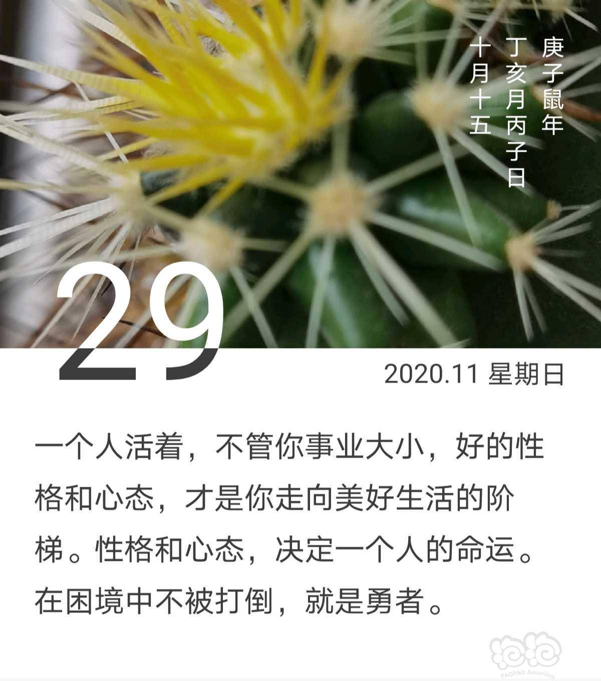 【交流】周日快乐朋友!