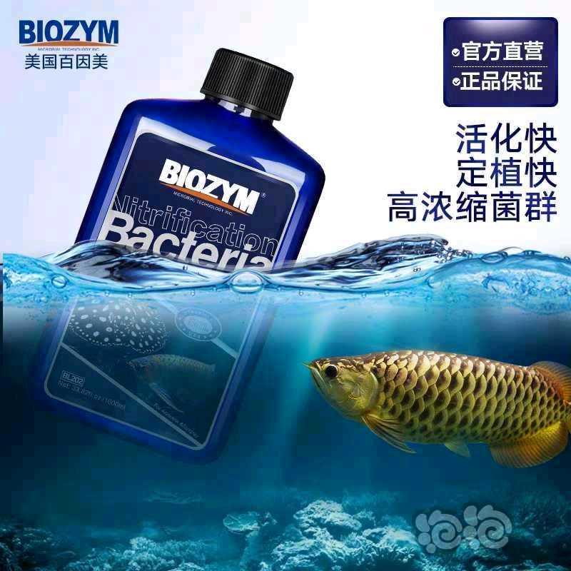 2020-11-7#RMB拍卖百因美龙鱼硝化细菌1000ml1瓶-图2
