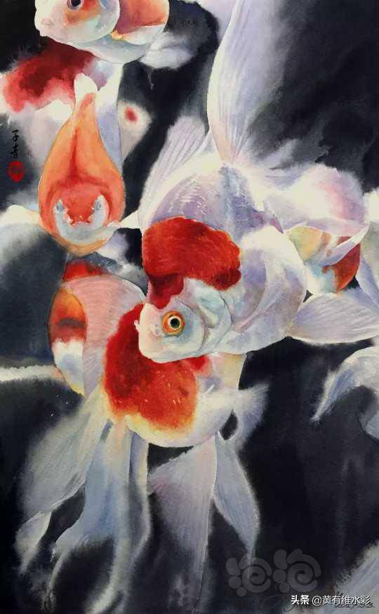 锦鲤本尊子青左的水中自画像