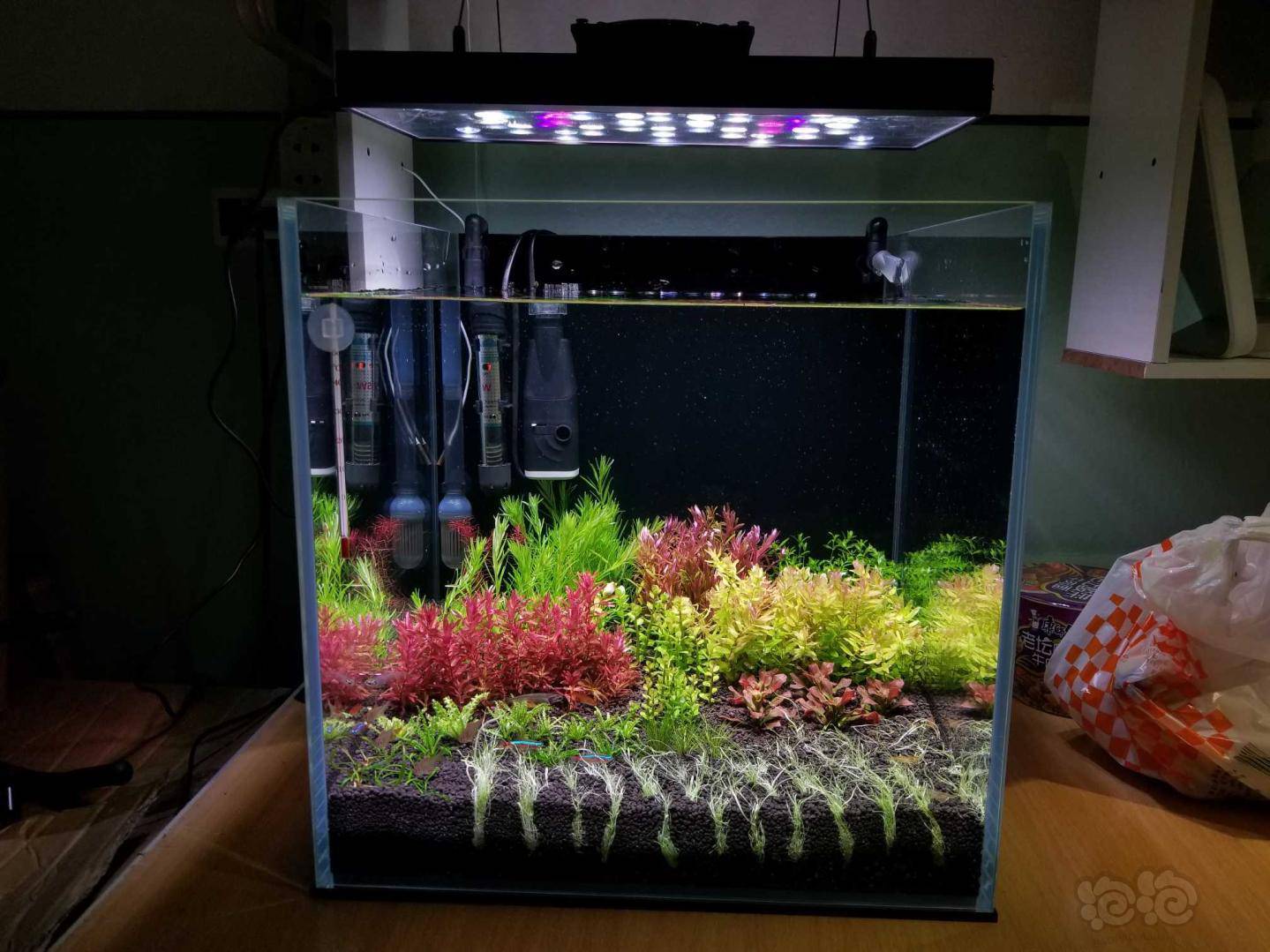 宿舍新开荷兰景40方