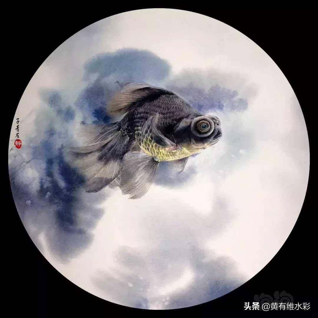 锦鲤本尊子青左的水中自画像