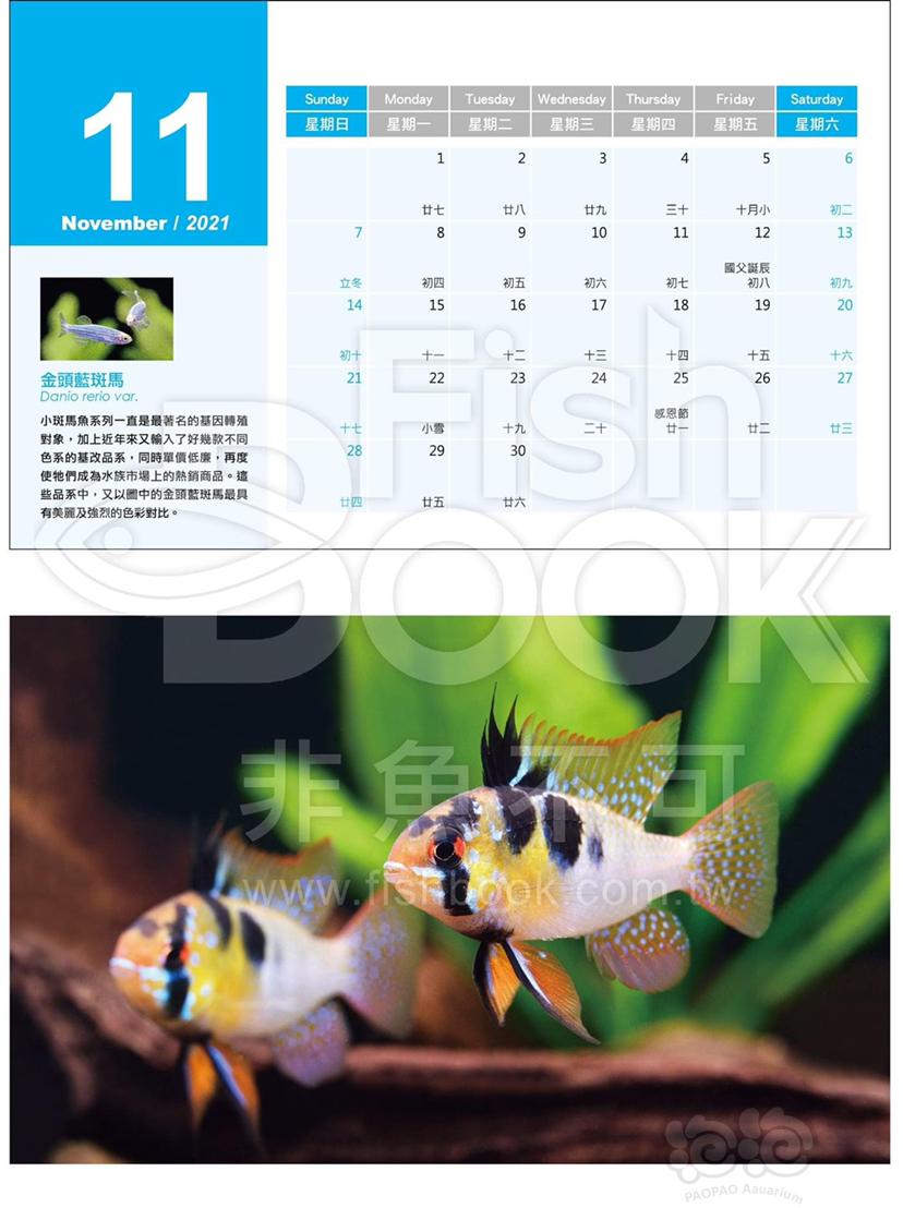 Fishbook 2021年台历-图2
