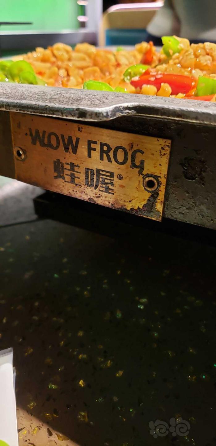 【交流】啃个牛蛙——‖-图2