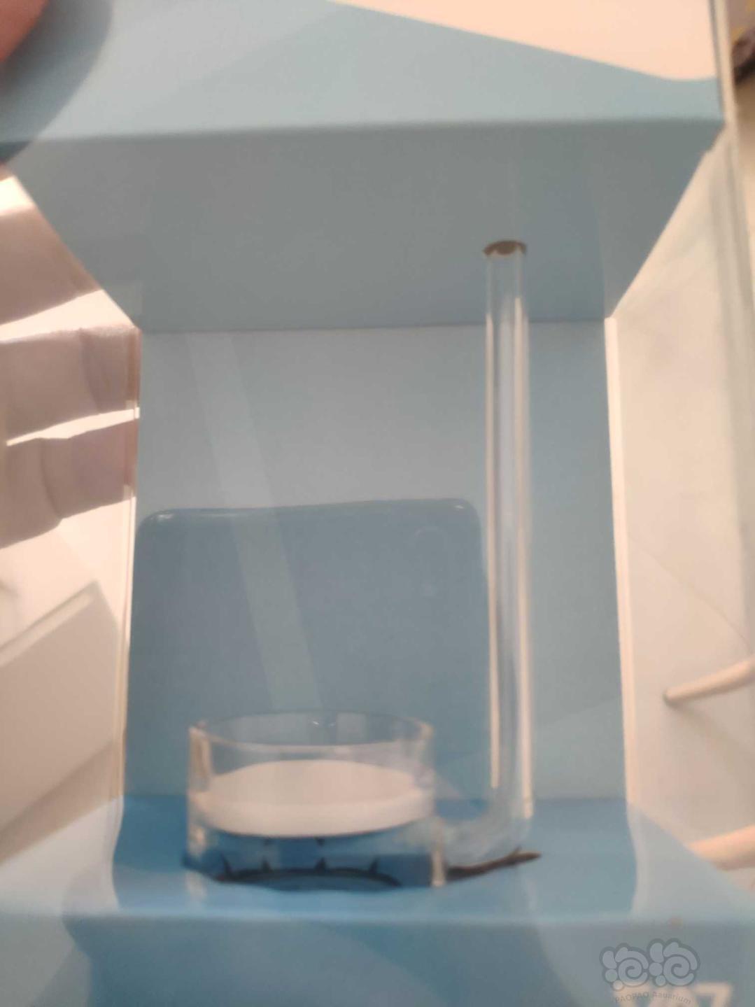 VIV二氧化碳细化器CO2扩散器透明玻璃平底乐符花粉记泡细化器   30mm-图4