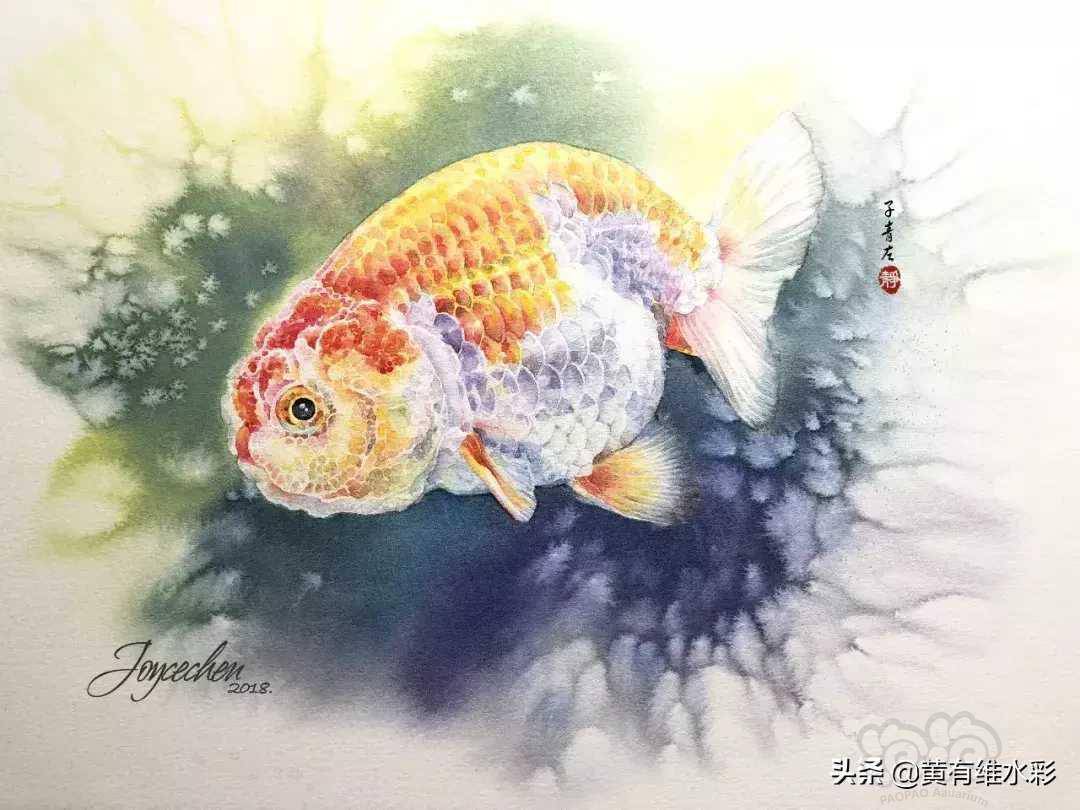 锦鲤本尊子青左的水中自画像