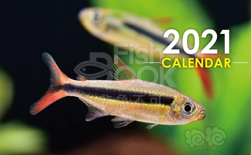 Fishbook 2021年台历-图1