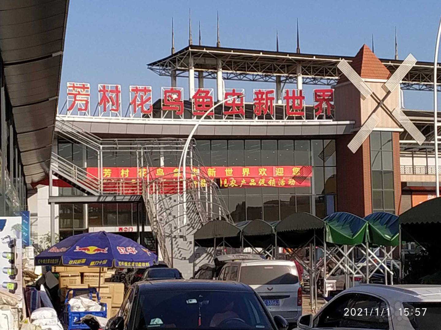 交流今天去百艺城逛逛有充气点