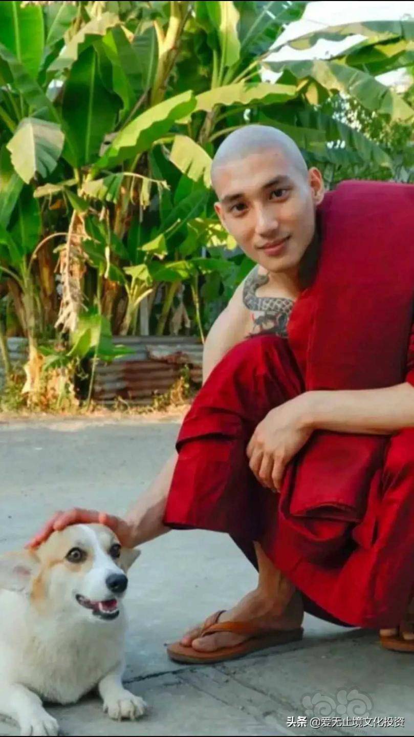 不一样的烟火paingtakhon