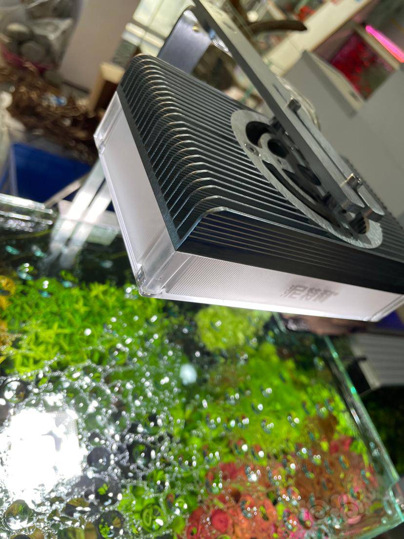 降价出尼特利at365w