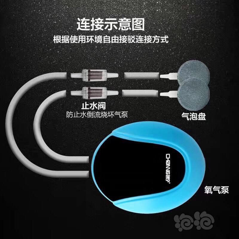 2021-1-26#RMB拍卖创宁5W双孔增氧气泵-图4