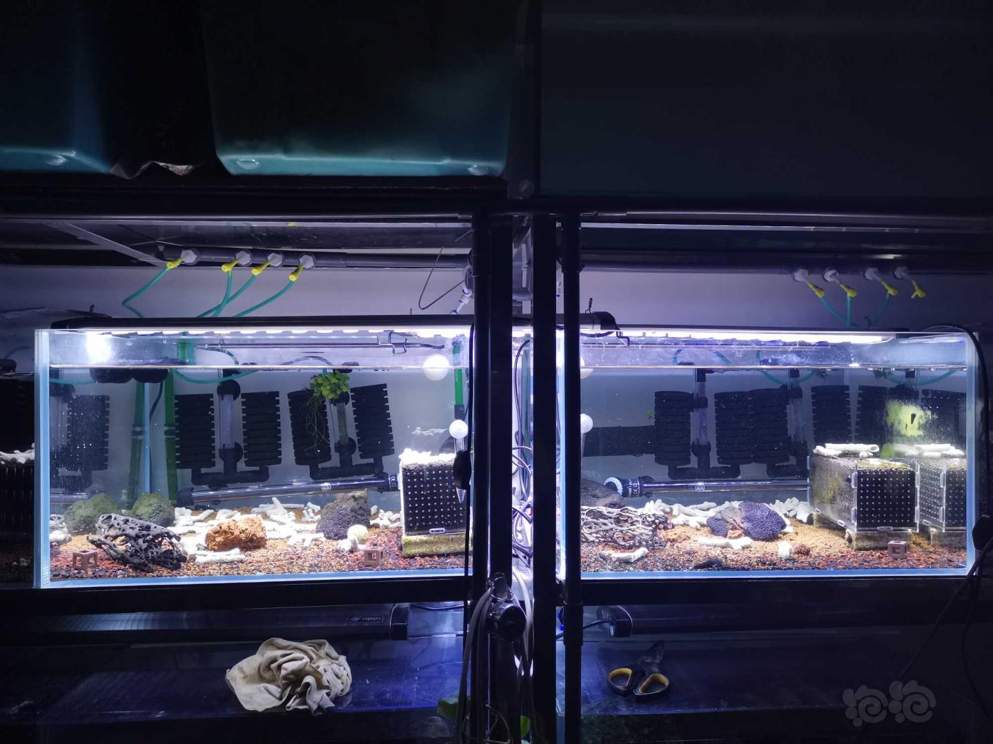 出LED高亮度爆藻灯，80-110厘米鱼缸使用，两只打包出！-图1