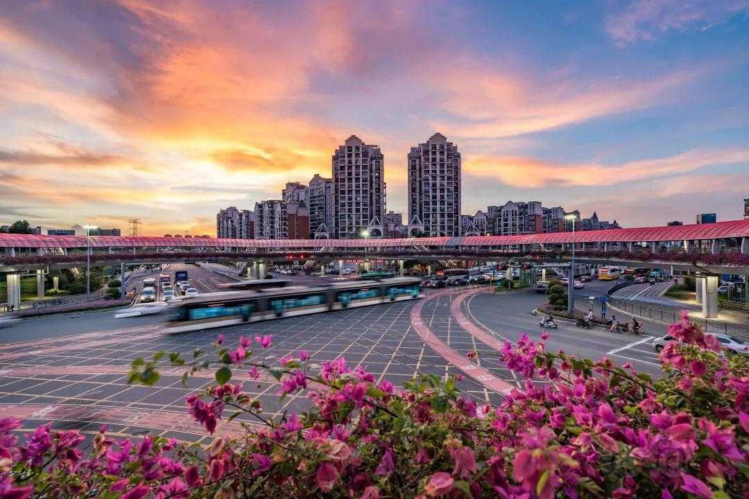 广东深圳：龙华蝶变-图4