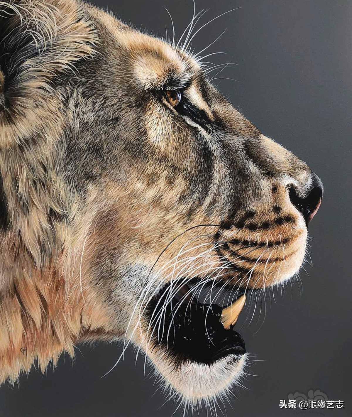 野性超写实:回归原生之态,凝视狂野的动物肖像画