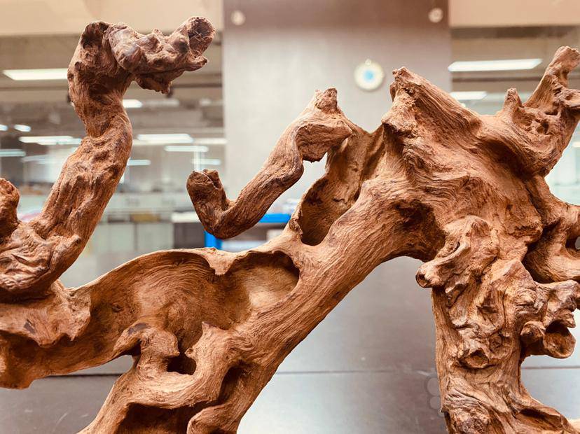 这个珊瑚木用来挂串可以