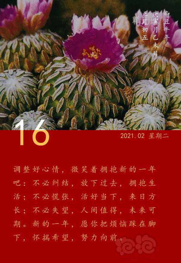 【交流】初五快乐!