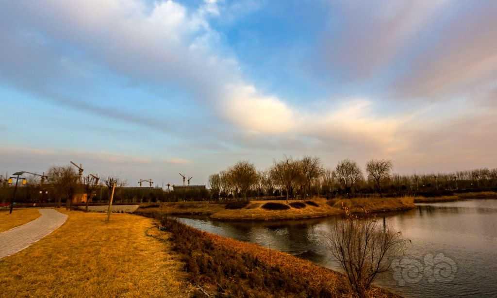 湿地公园日出时分景色壮观-图3