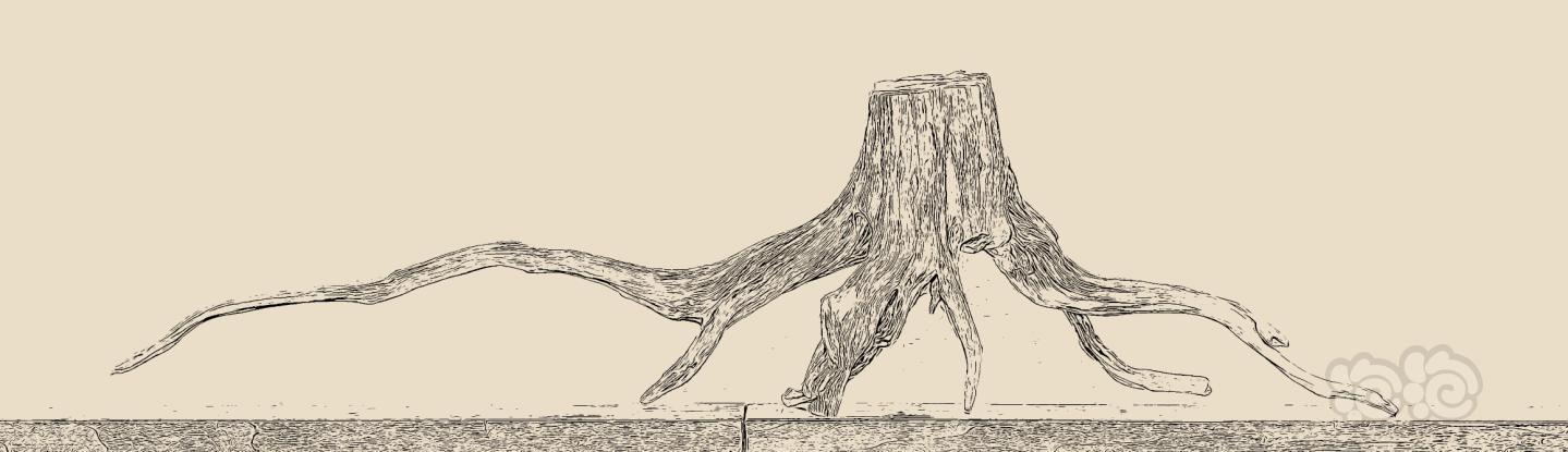没事自己画个沉木造景骨架-图3