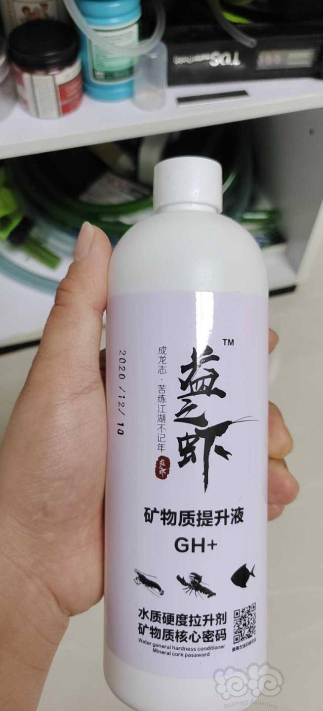 我也想好好养虾,可惜我不是这块料哇