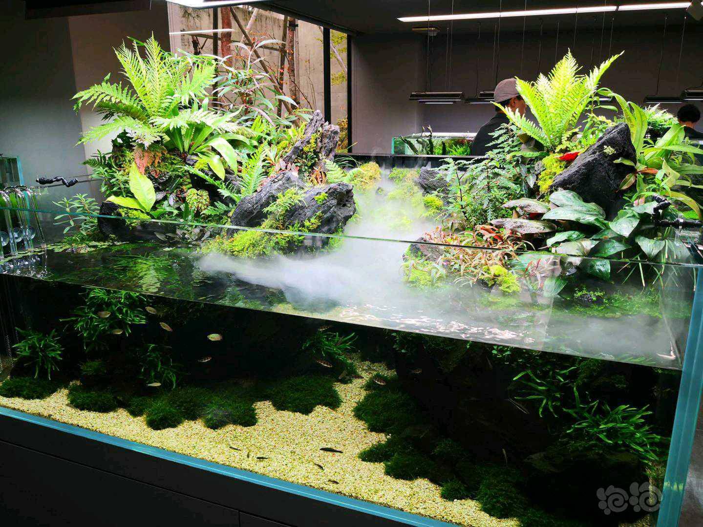 草缸造景底砂选择