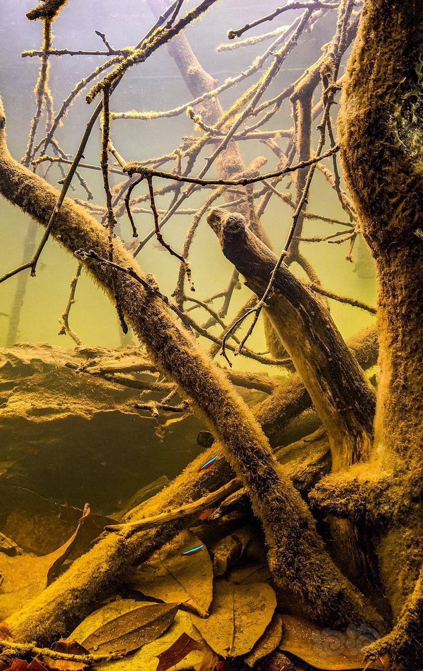 黄水的自然河底