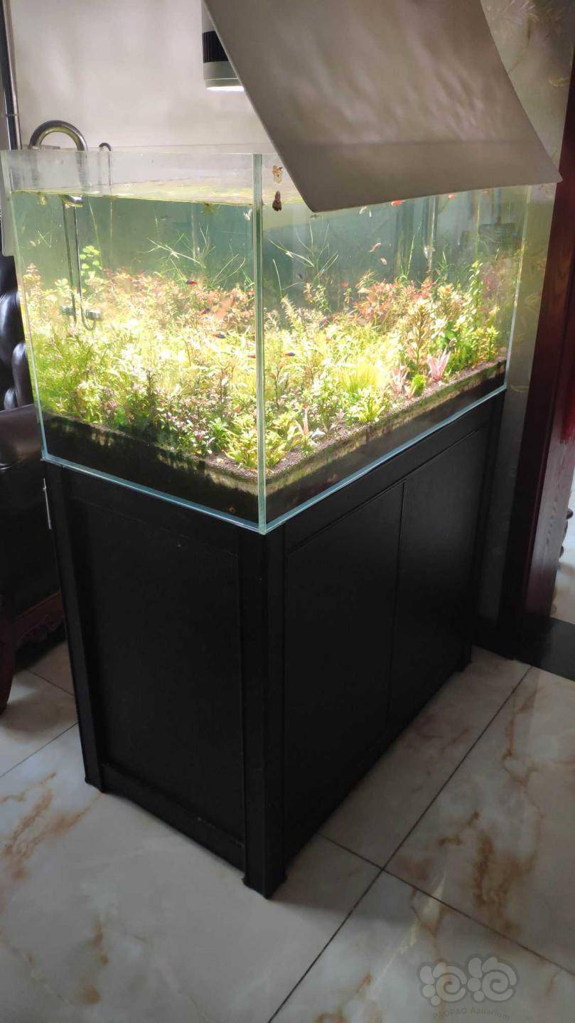 西安本地出905050鱼缸一套