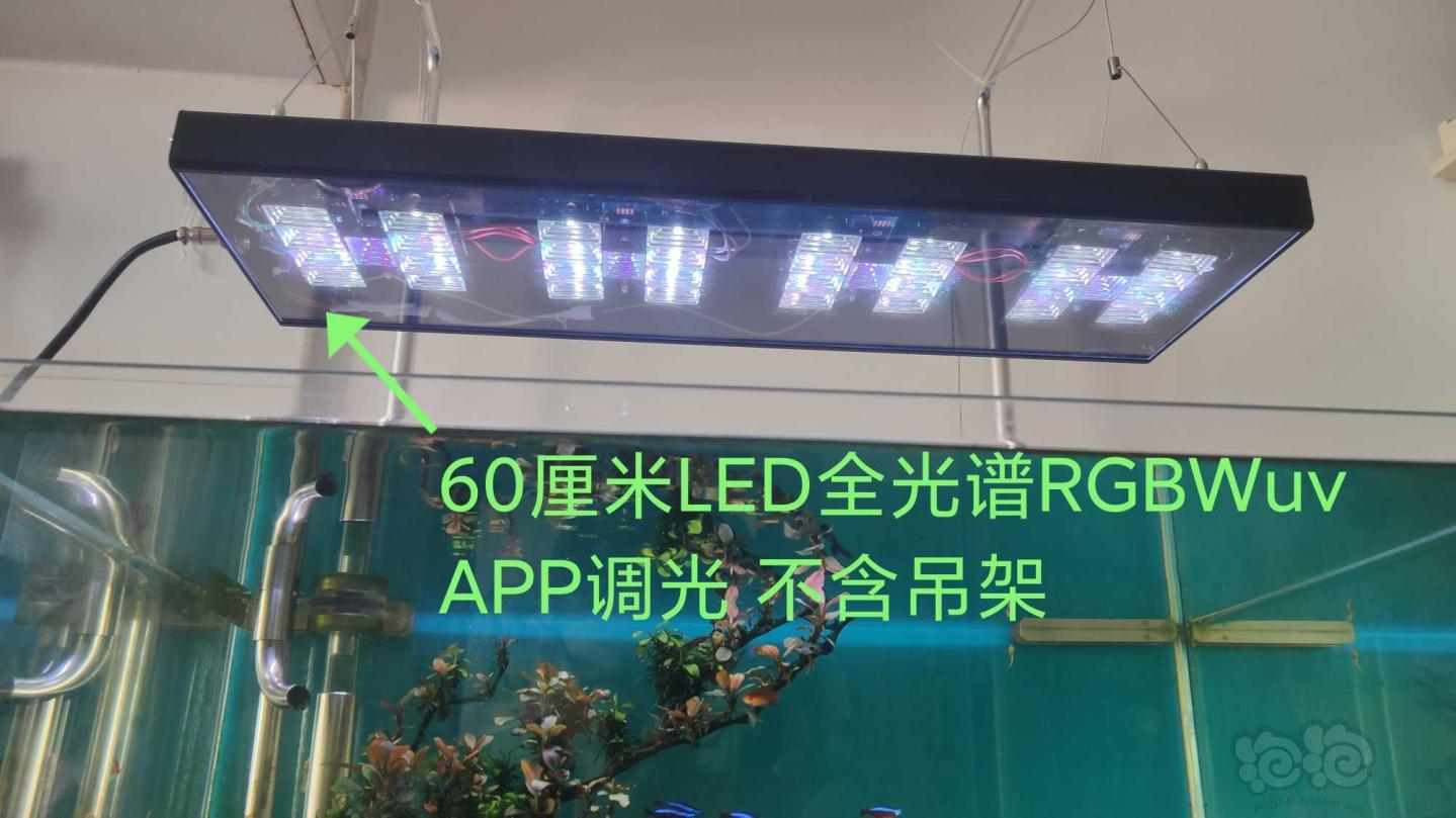 LED水草灯RGBW+uv  80瓦长60厘米。带吊装钢丝绳-图2