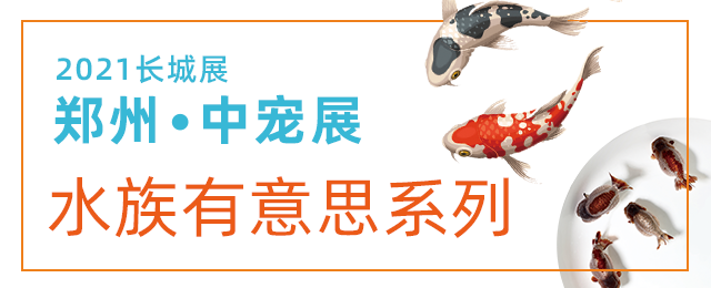 水族有意思 | 郑州「中宠展」:2021年水族第一展-图2 水族有意思 | 郑州「中宠展」:2021年水族第一展-图2