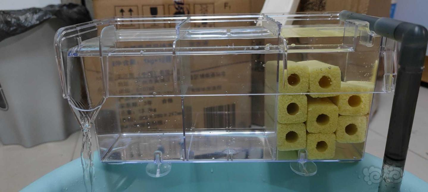 小缸过滤，神奇宝贝外挂隔离盒改外挂过滤盒，外挂硝化细菌-图4