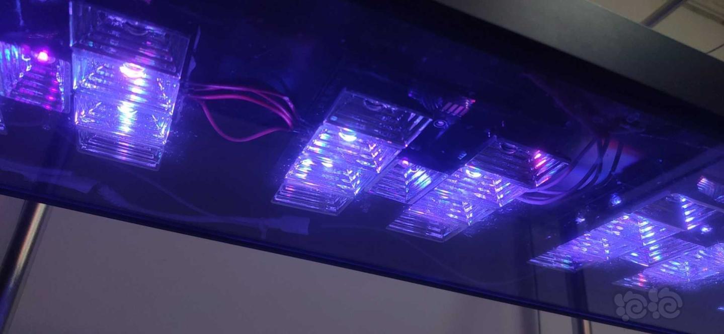 LED水草灯RGBW+uv  80瓦长60厘米。带吊装钢丝绳-图6