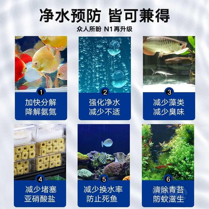 【用品】2021-04-23#RMB拍卖百因美N1高浓缩硝化菌-图3