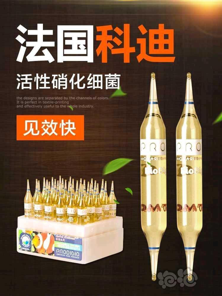 2021-4-9#RMB拍卖科迪1盒-图1