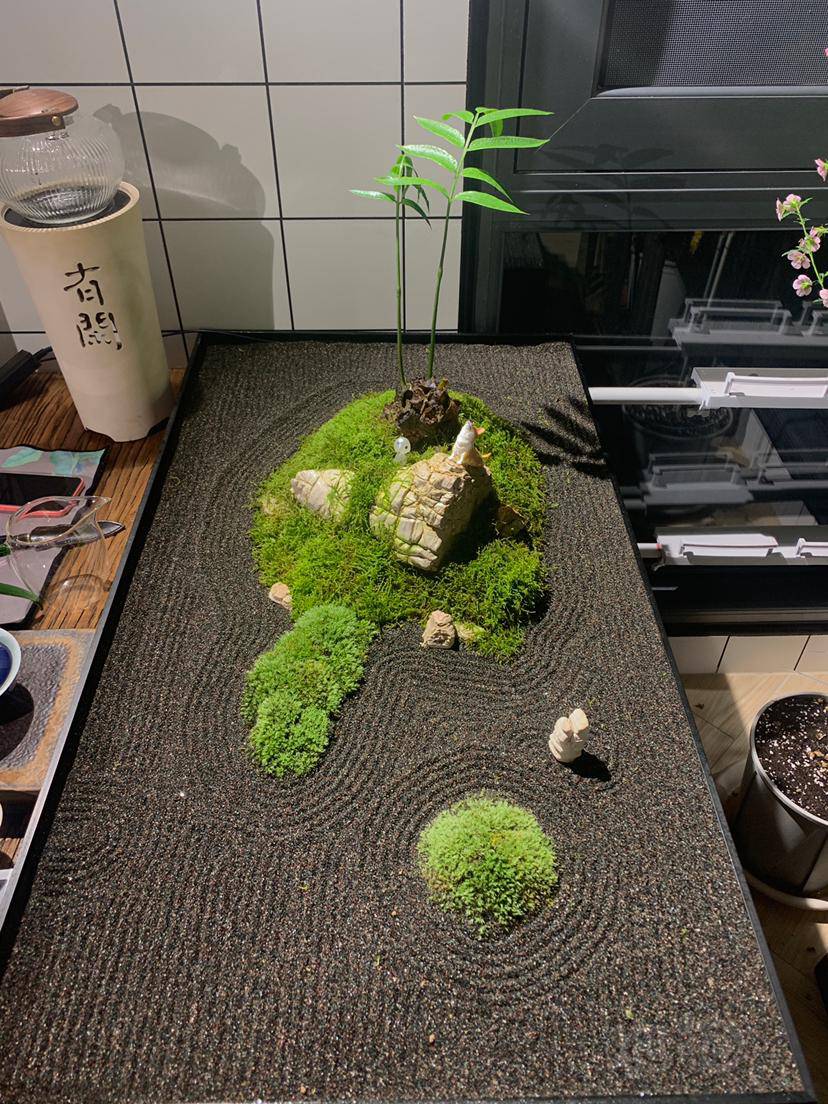 【微景观】条叔的枯山水日常(壹)