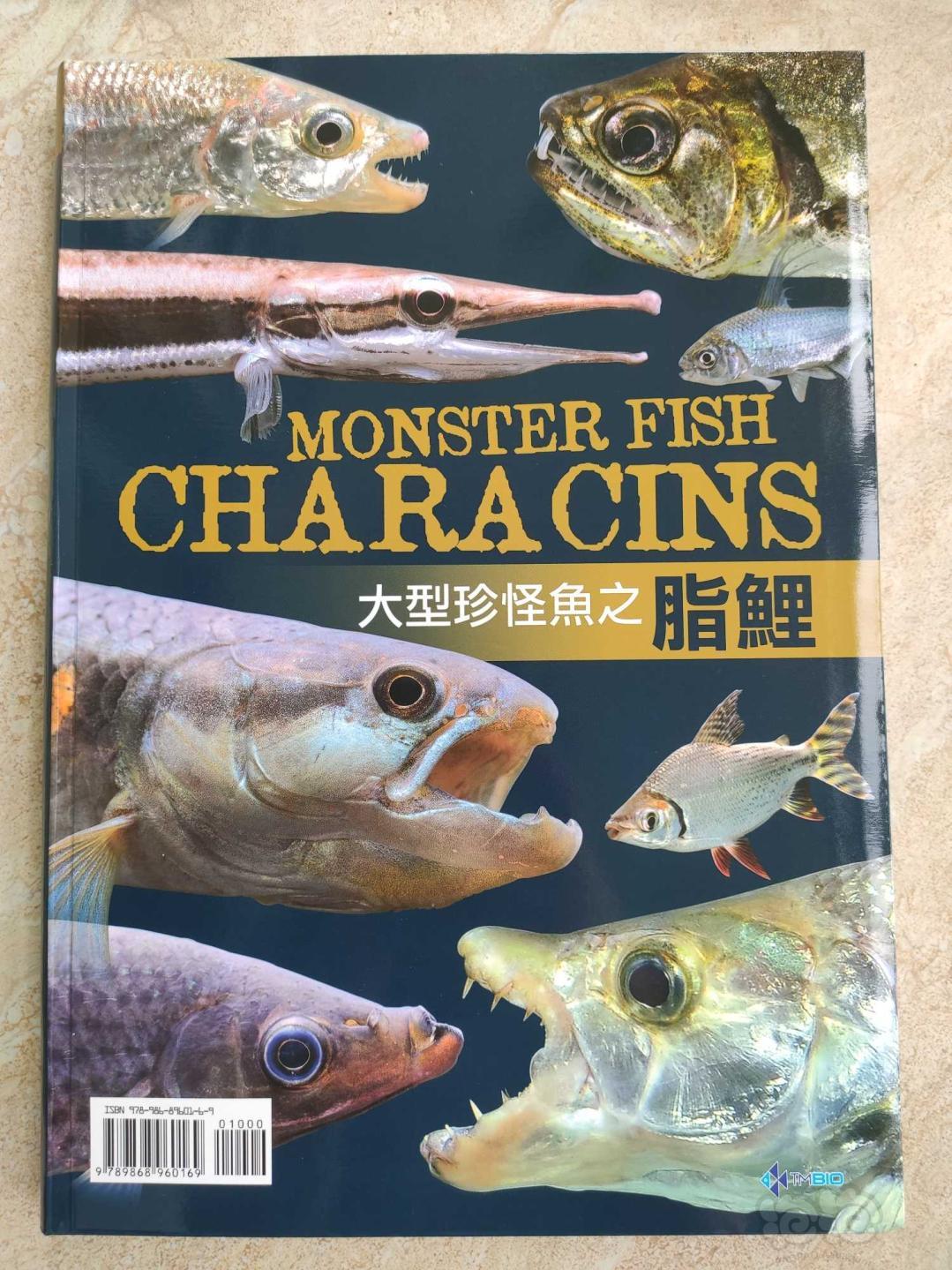 Monster fish 大型鱼