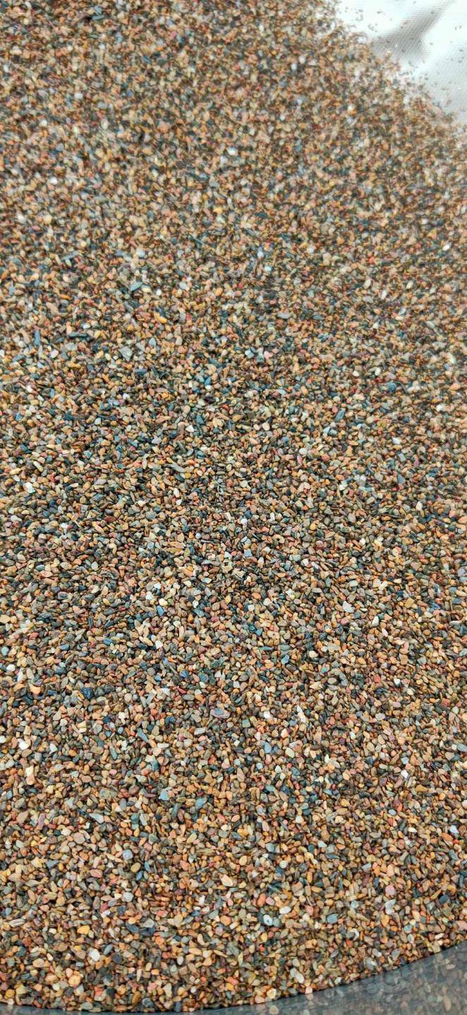 热带鱼钴蓝雷龙人工苗幻红杂幻蓝苗奶茶苗溪流沙底沙