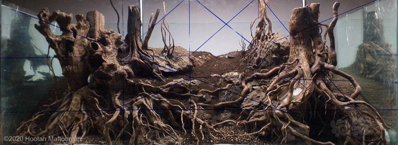 骨架造景分享01